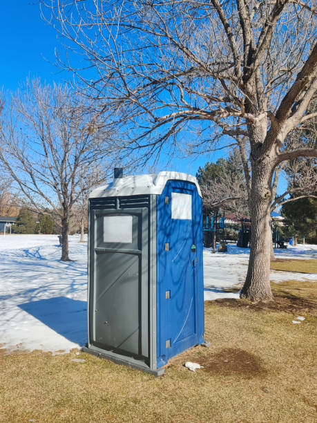 Best Portable Toilets with Baby Changing Stations  in Trezevant, TN